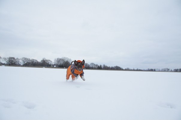 Дарья Тарасова | Москва