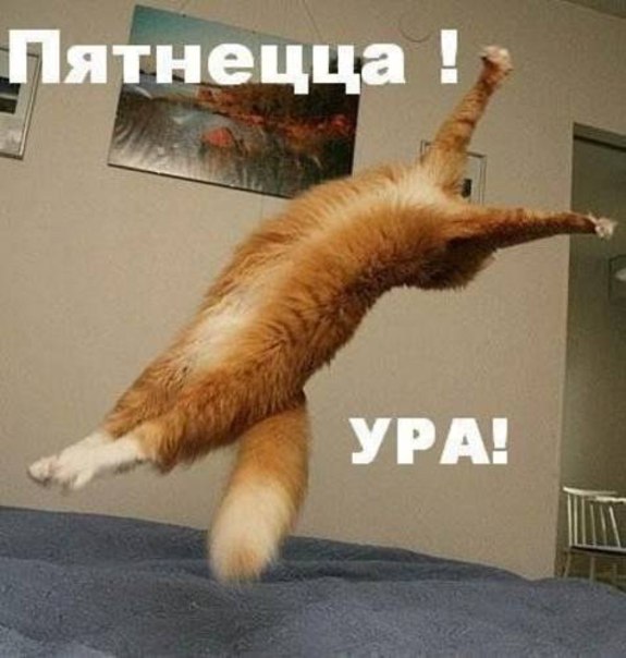 Александр Костенко | Верхний Рогачик