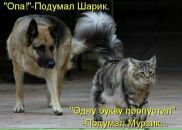 №6 Светлана Квач 01.08: профиль, фото, статус - ВКонтакте