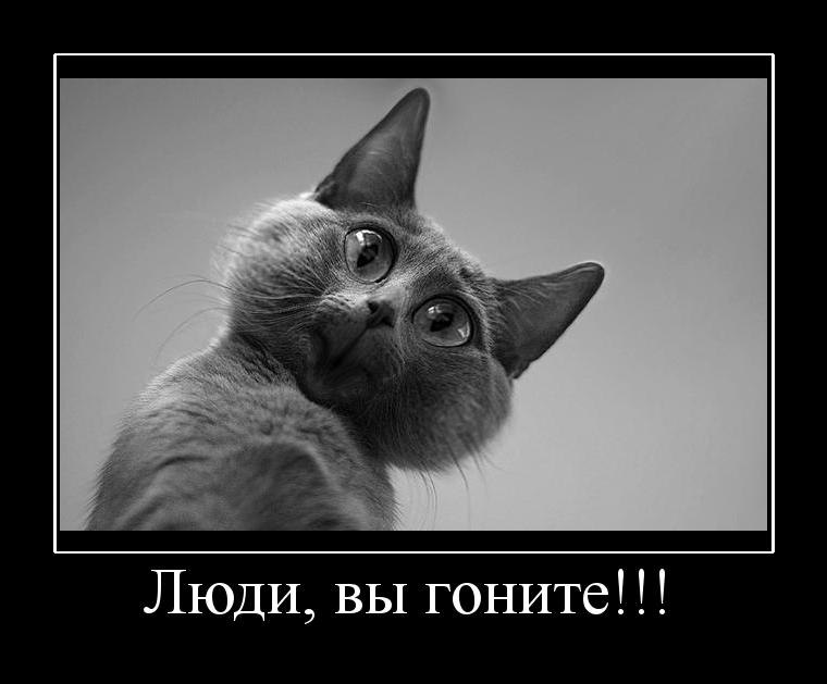 Андрей Бычков | Королёв