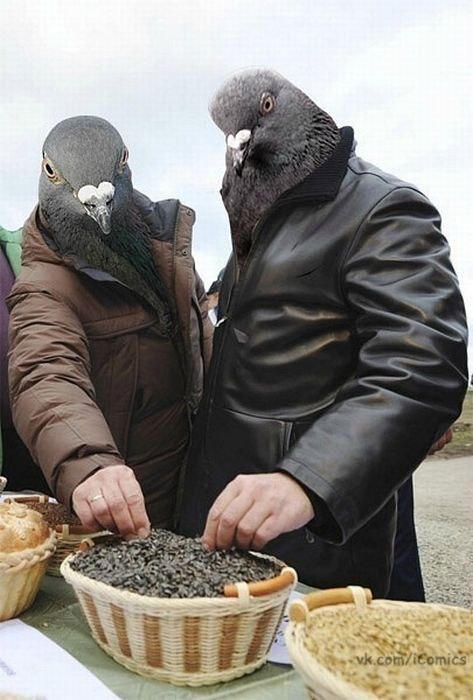 Максим Бученков | Санкт-Петербург