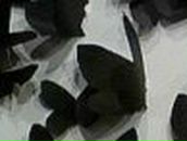 Маша Чунихина | Москва