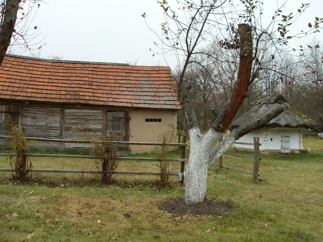 Оксана Синяговская | Кременчуг