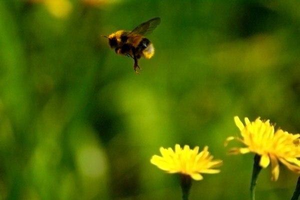 №128, Лена Самойлова, Днепр (Днепропетровск) №128, Лена Самойлова, Днепр (Днепропетровск)