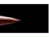 Илья Руссу | Липецк