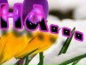 Аля Жукова | Пермь