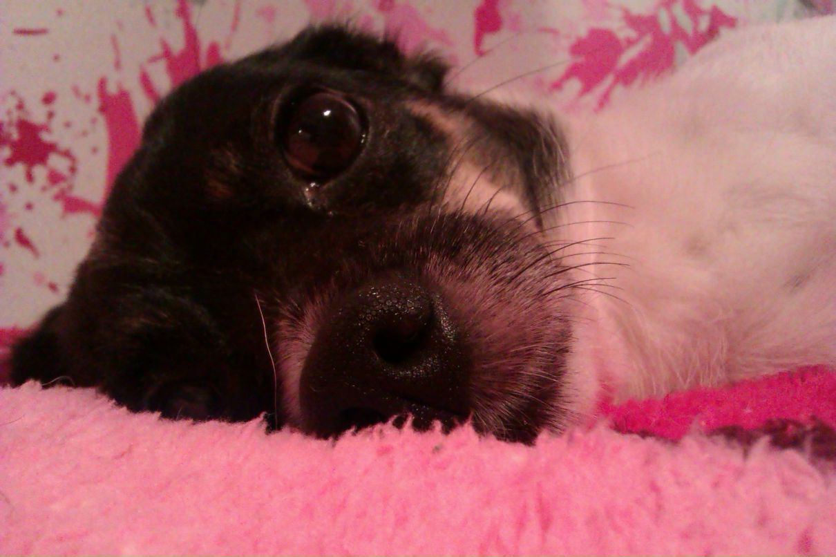 Ирина Левтерова | Донецк