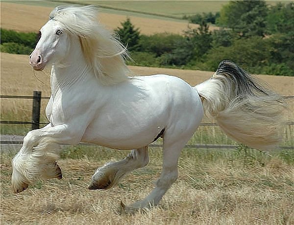 Али Угурчиев | Москва