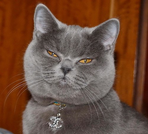 Алла Кузнецова | Назарово