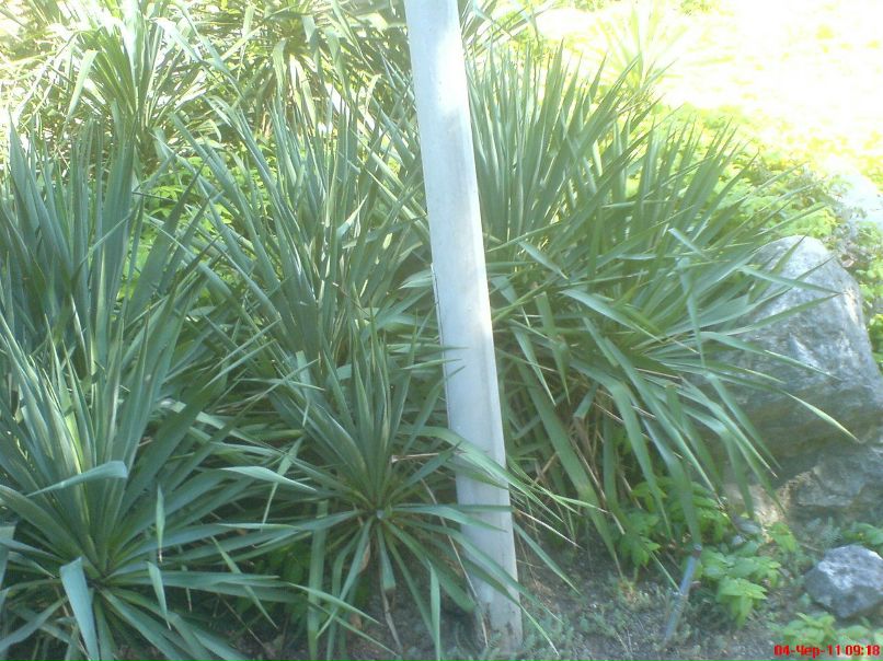 Vasia Pavlenko | Киев