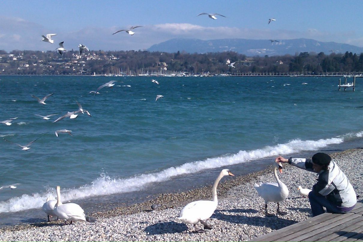 Лиза Антонова | Москва