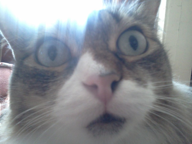 Виктор Каретников | Новосибирск