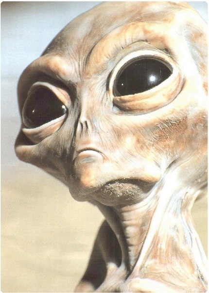 Максим Семенов Вячеславович | Санкт-Петербург