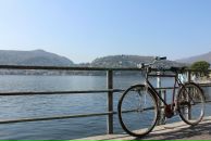 №1, Татьяна Кардью