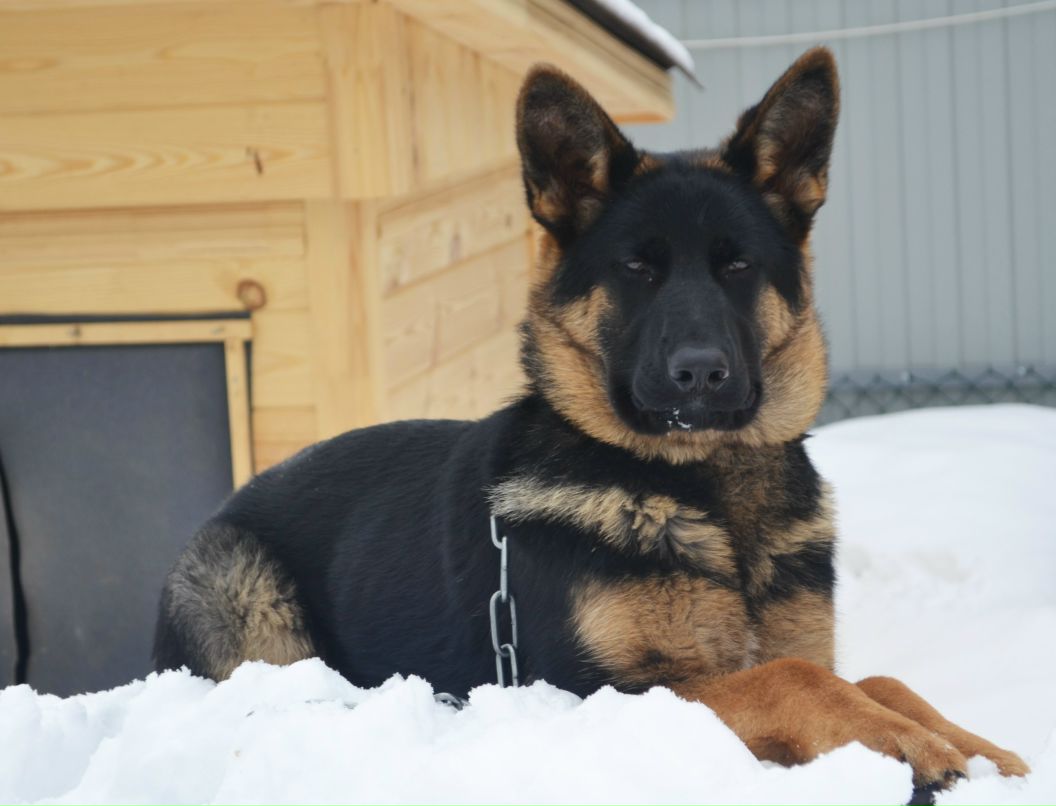 Олег Горшков | Вологда