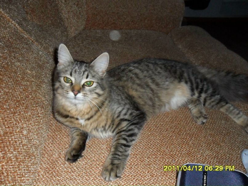 Анна Ильина | Чебоксары