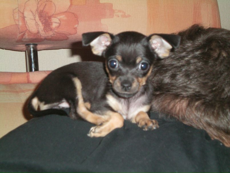 Наталья Демидова | Тюмень