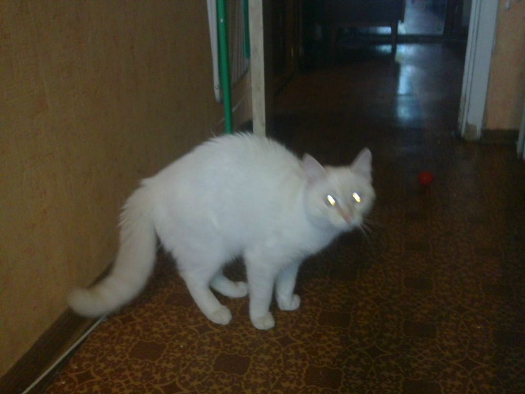 Ольга Пономарева | Санкт-Петербург