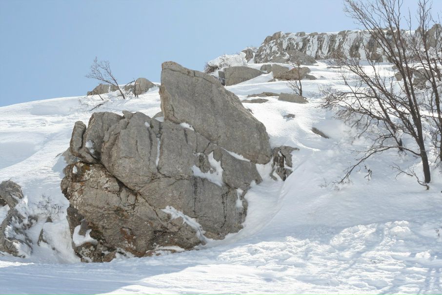 №82, Андрей Омельян №82, Андрей Омельян