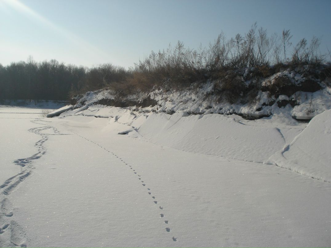 Дмитрий Ганнин | Сумы