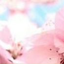 Алёна Дышина | Уфа