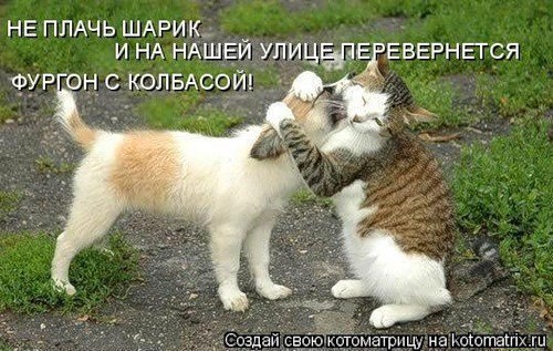 Оксана Креминская krox | Киев