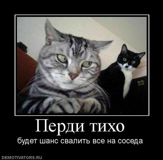 Надежда Клокова | Магнитогорск