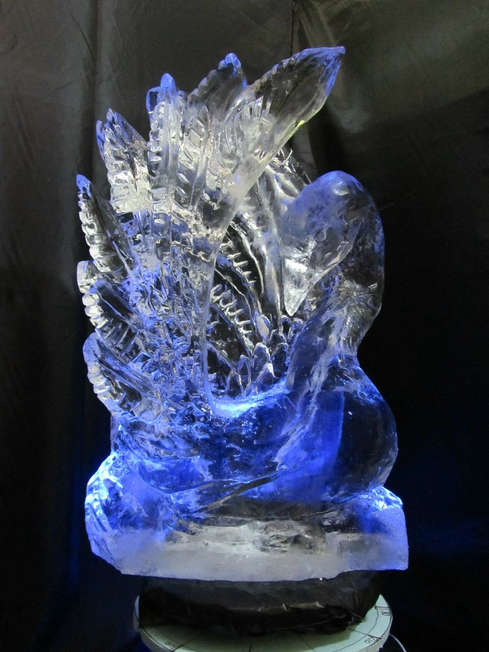 Владислав Тутка | Донецк