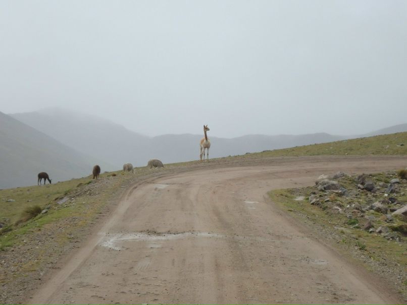 Juan Ramos Jesús | Huancavelica