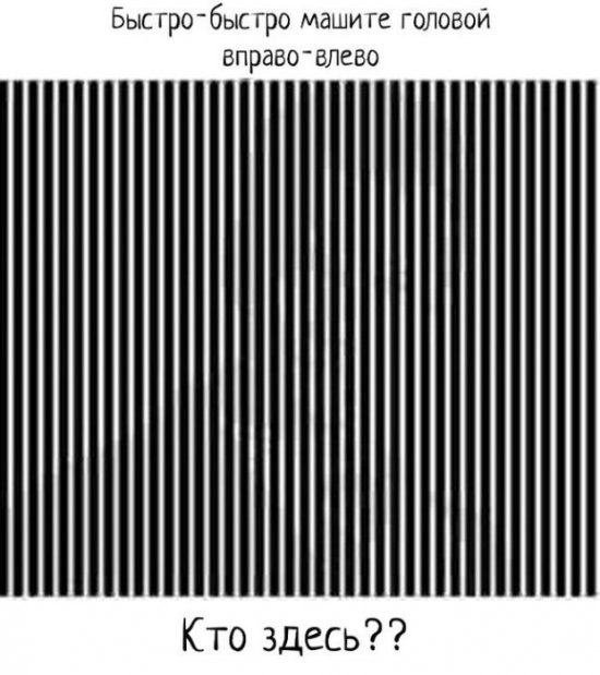 Никита Шавергин | Калуга