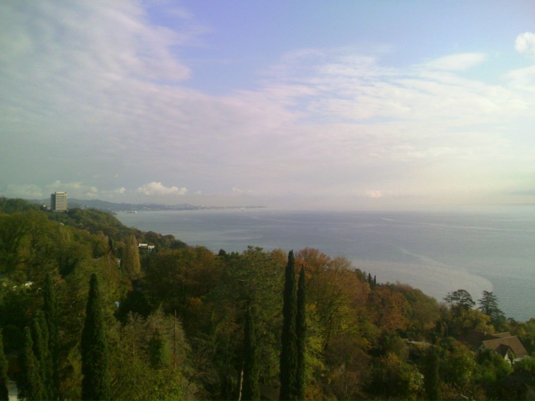 Артемий Адамовский | Сочи