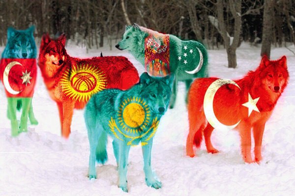 Hasan Baki ☾⋆ | Ankara