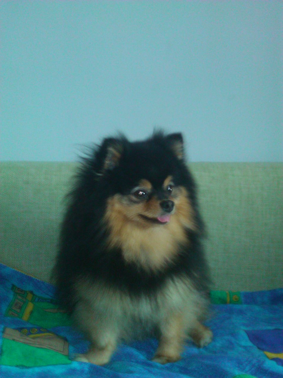 Hell Иванова | Санкт-Петербург