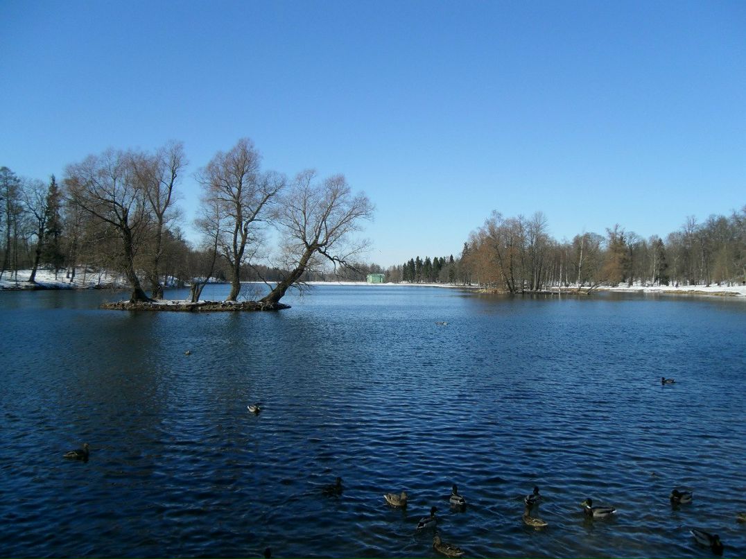 Анна Дюмина | Сыктывкар