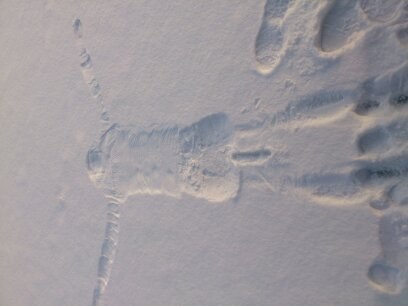 №55, Amur Mur, 38 лет, Днепр (Днепропетровск) №55, Amur Mur, 38 лет, Днепр (Днепропетровск)