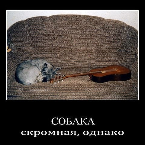 Андрей Шаньшин | Кемерово