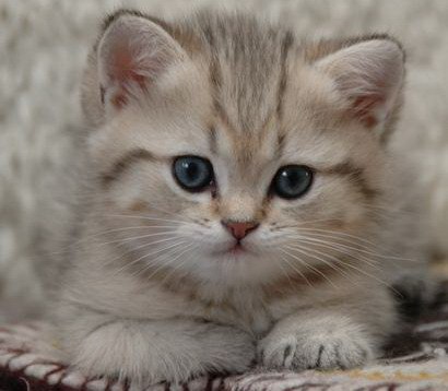 Константин Шлёмин | Петрозаводск