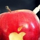 №1, Руслан Джамилов №1, Руслан Джамилов