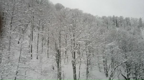 №3, Edo Shakhnazarov, 39 лет, Тбилиси №3, Edo Shakhnazarov, 39 лет, Тбилиси