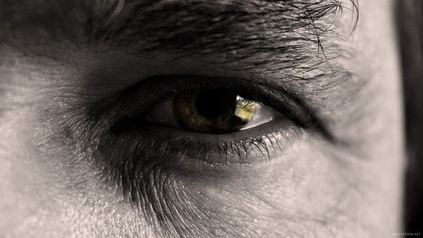 Тарас Шустов | Луганск