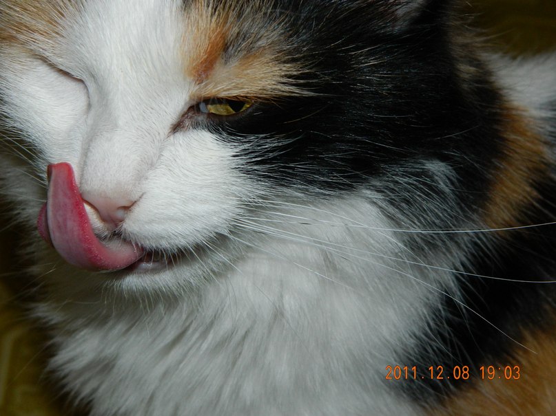 Ксения Пушина | Ижевск