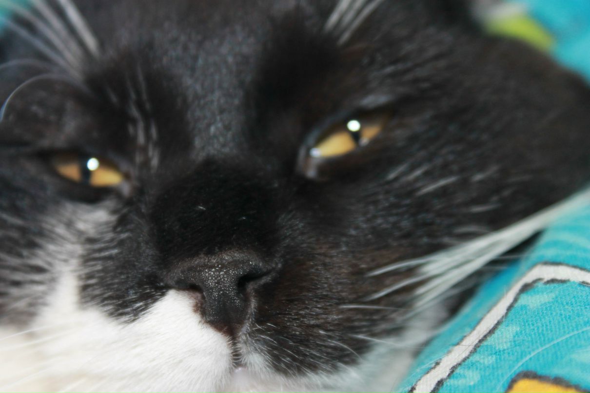 Лучика Ляпина | Москва