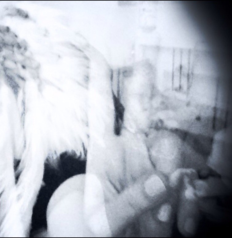 Алиса Орешкина | Санкт-Петербург