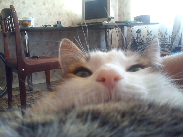 №4, Михаил Глазунов №4, Михаил Глазунов