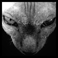 Mary Наумова V. | Москва