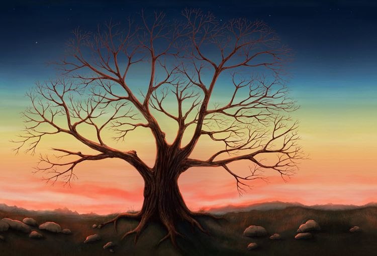 Даша Суркова | Череповец