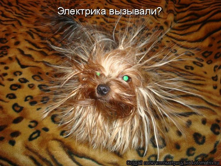 Евгений Изотов | Мелеуз