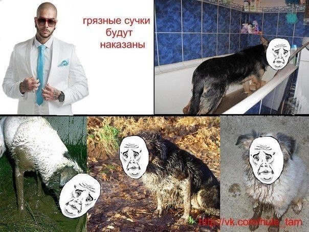 Егор Смирнов | Химки