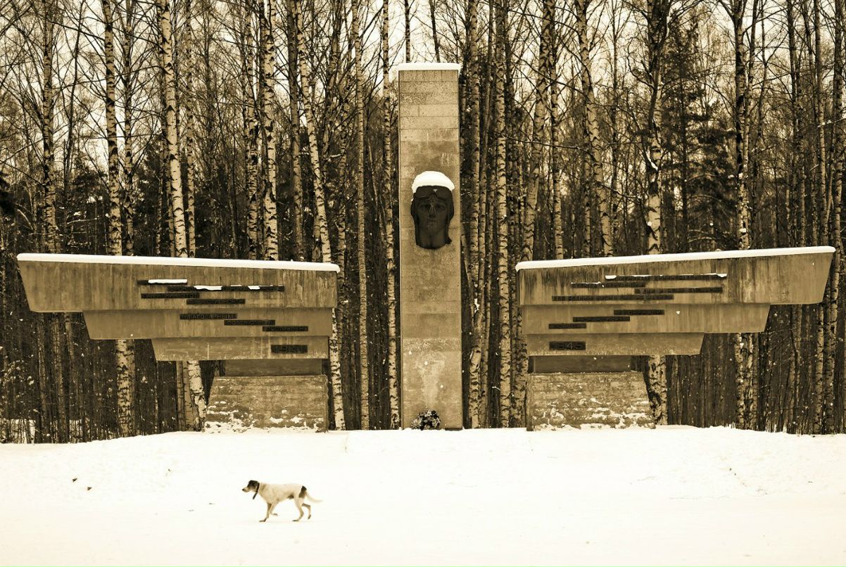 Vladislav Kuznetsov | Санкт-Петербург