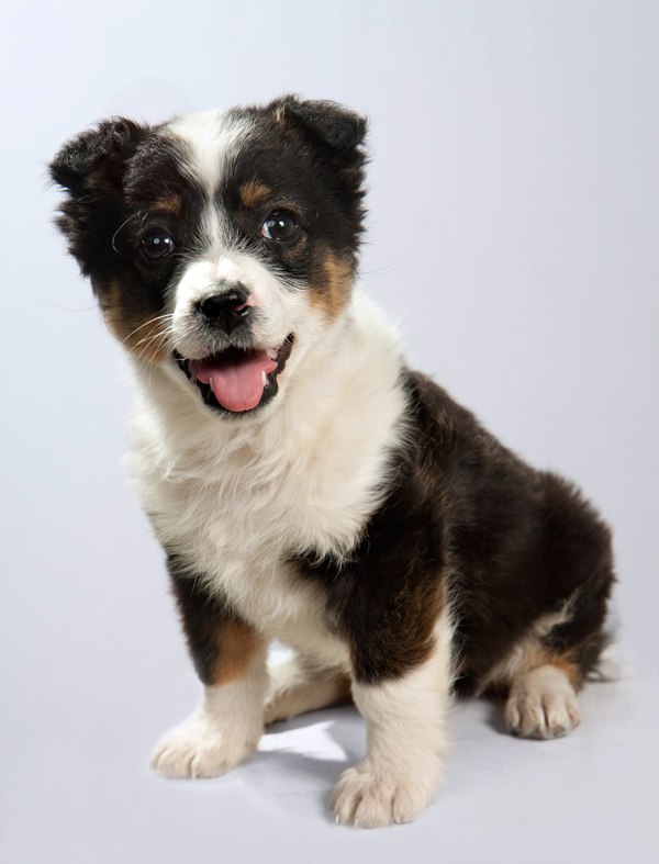 Евгений Боровлев | Курск